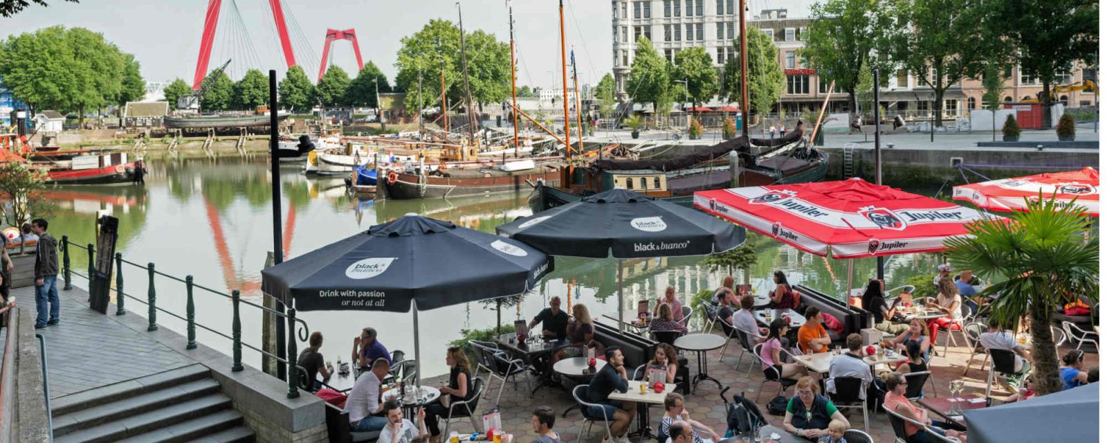Zomers genieten bij de waterfestivals van Rotterdam | Blog 