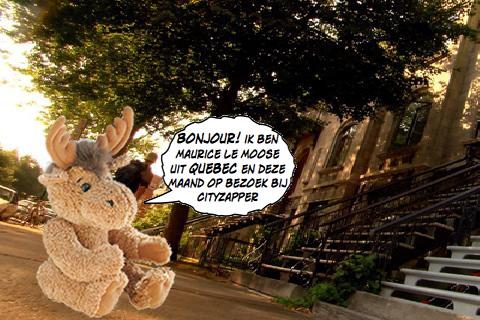 Gezocht: Maurice le Moose 