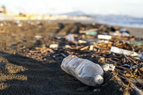 San Francisco bant plastic flessen 