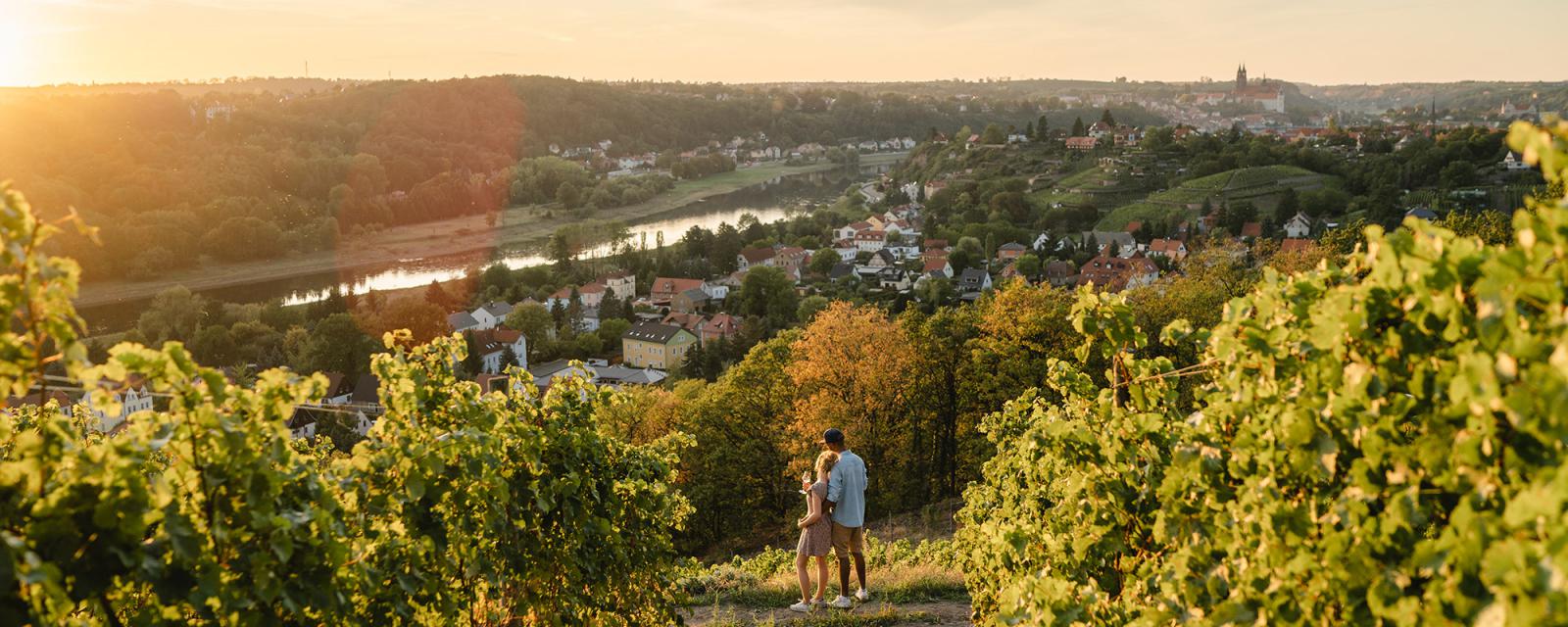 Ontdek alles over Duitse wijn in Dresden en rond de Elbe 