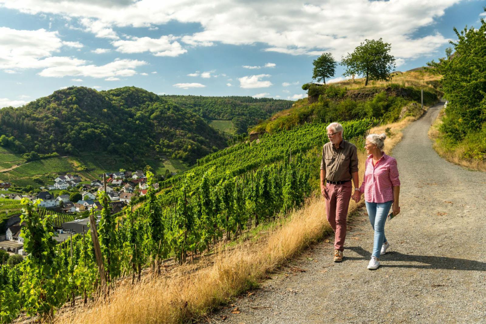 De heuvels en wijngaarden langs de Saffenburgroute | Rheinland Pfalz Tourismus GmbH / DominikKetz