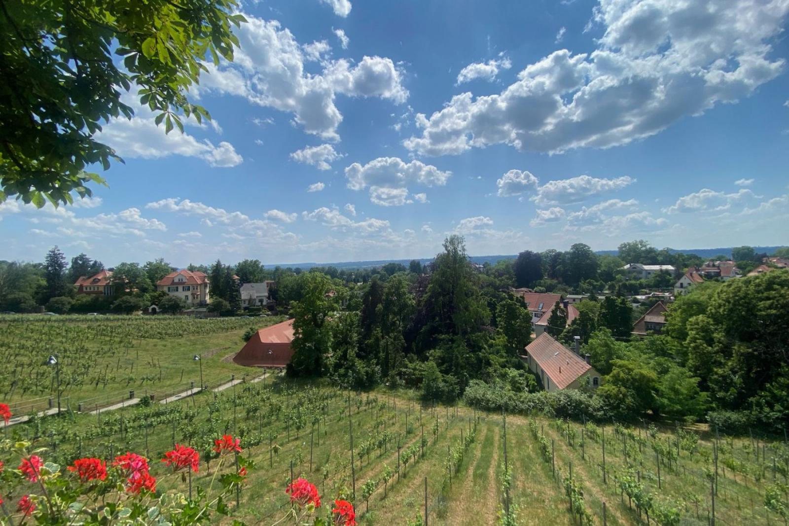 Het prachtige uitzicht vanaf het terras van Hoflössnitz | CityZapper