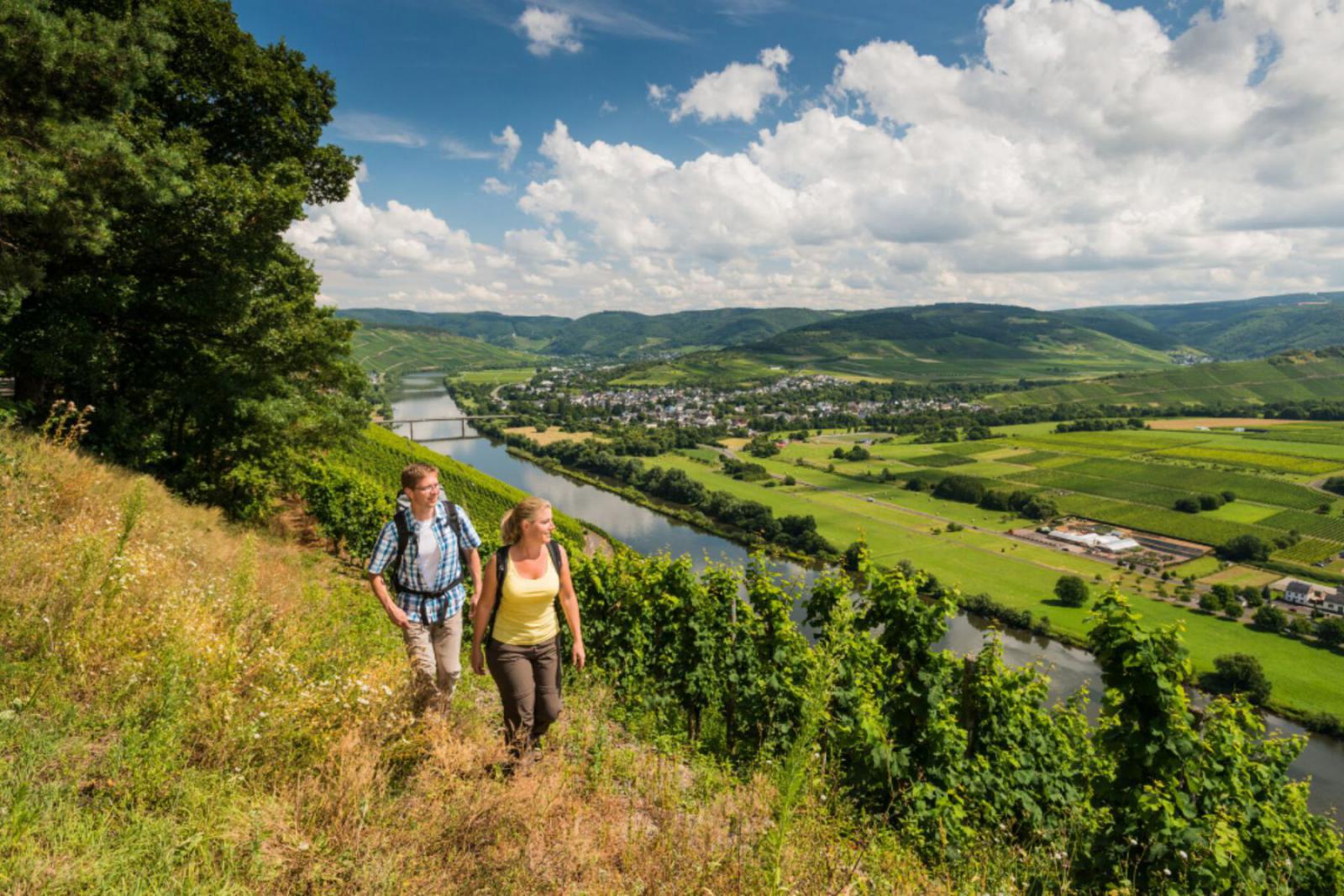 De Moselsteig brengt je langs pittoreske steden en wijngaarden | Rheinland-Pfalz Tourismus GmbH / Dominik Ketz
