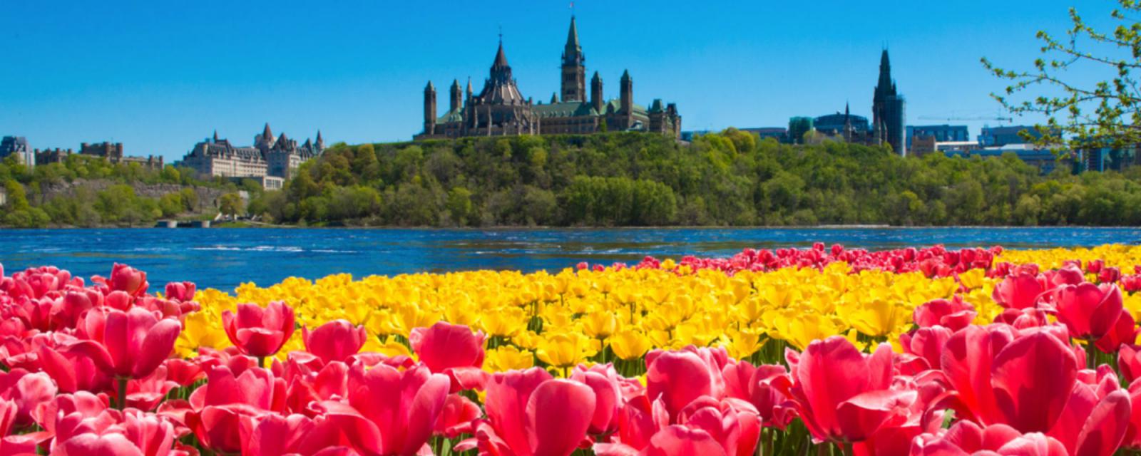 Combineer deze lente het beste van stad en natuur in Ottawa 