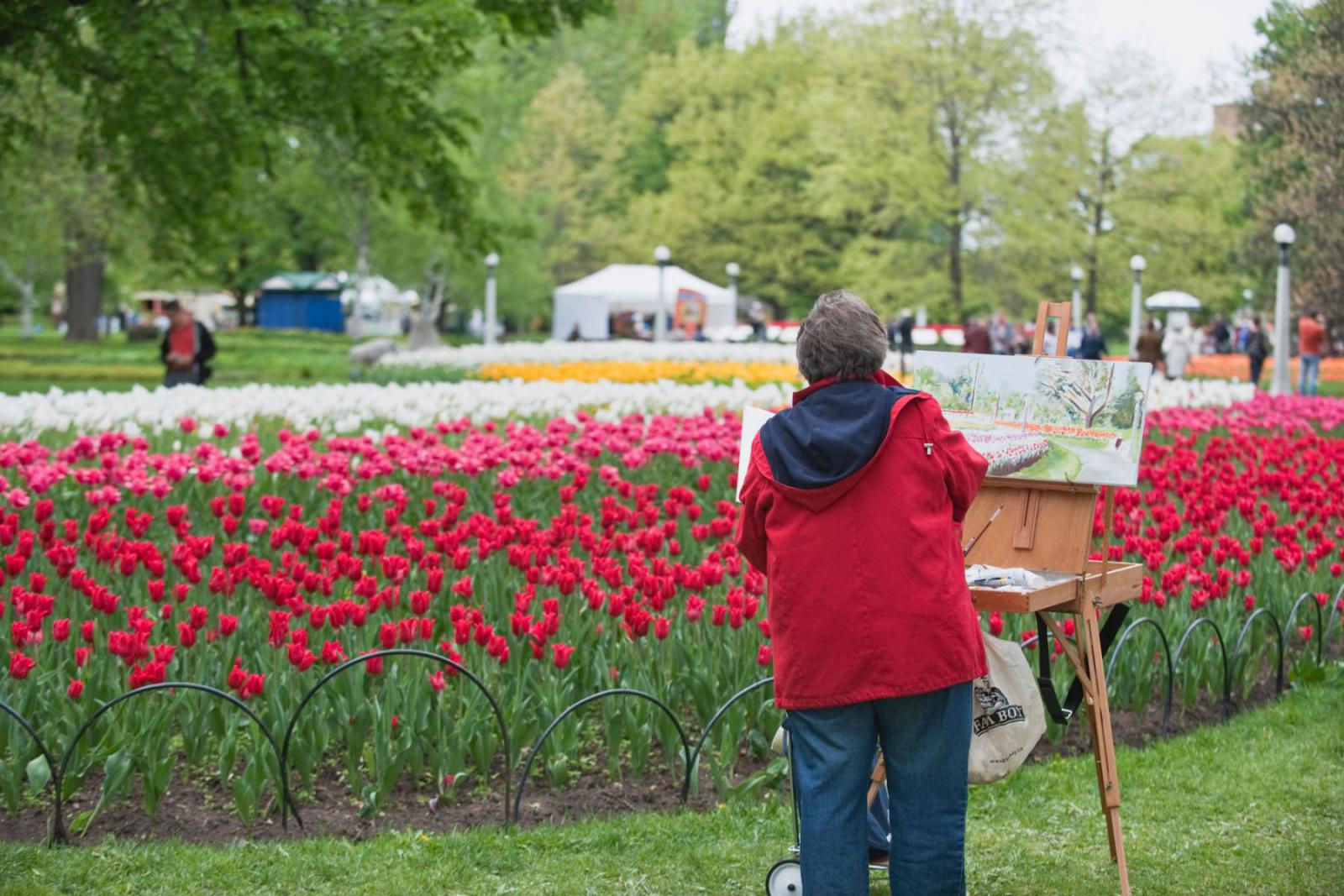 De tulpen zijn perfect voor een mooi schilderij | Ottawa Tourism