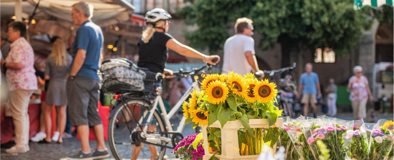 Beweeg mee: 9 verrassende steden en Autostadt in Nedersaksen