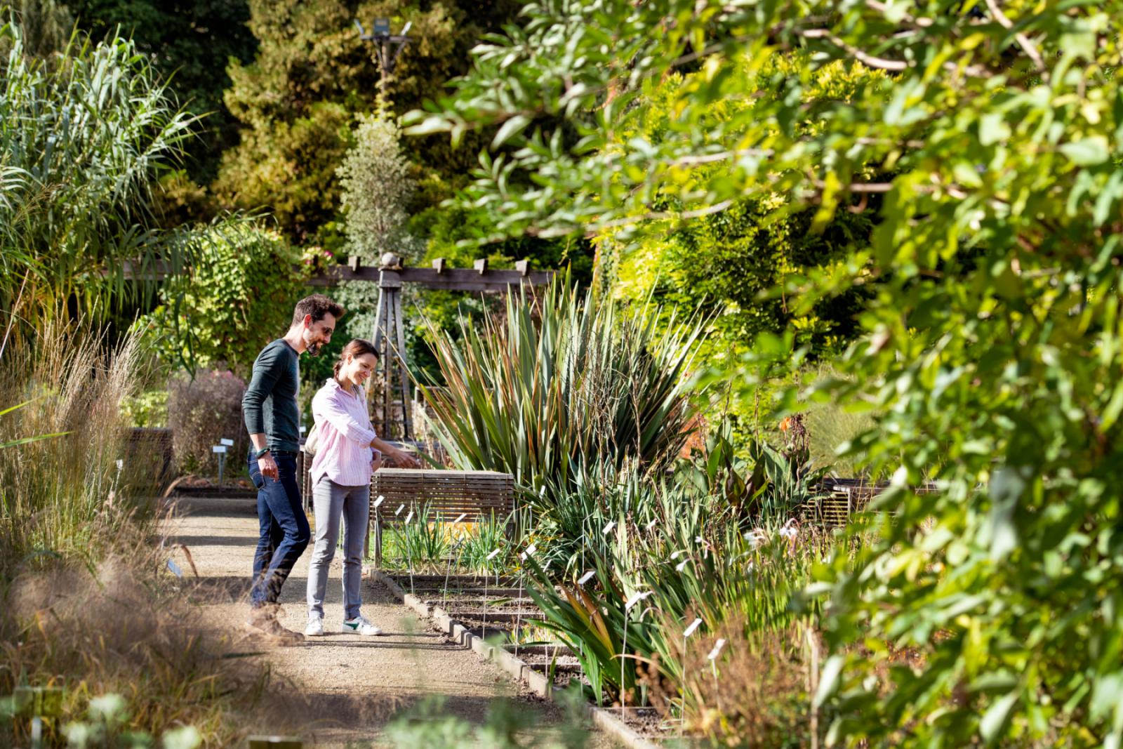 Foto van De Kruidtuin in Leuven | © Karl Bruninx