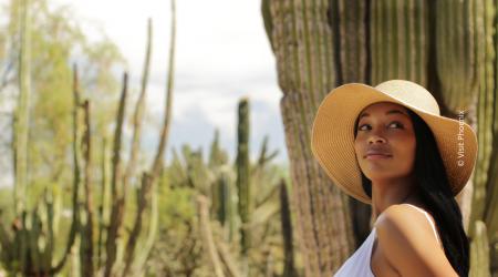 Must-do Phoenix: Desert Botanical Garden
