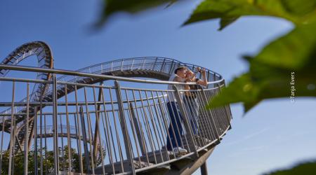 Tiger & Turtle