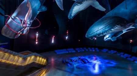 Combiticket OZEANEUM & Maritiem Museum 