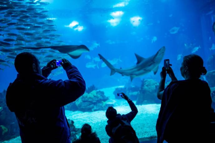 Oceanário de Lisboa