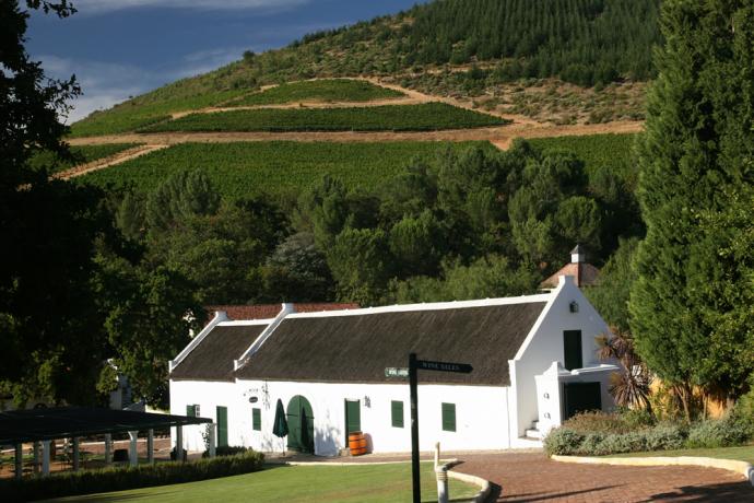 Stellenbosch