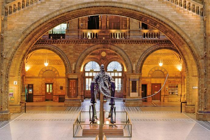 Natural History Museum 