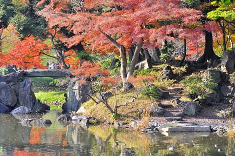 Koishikawa Kōrakuen Garden