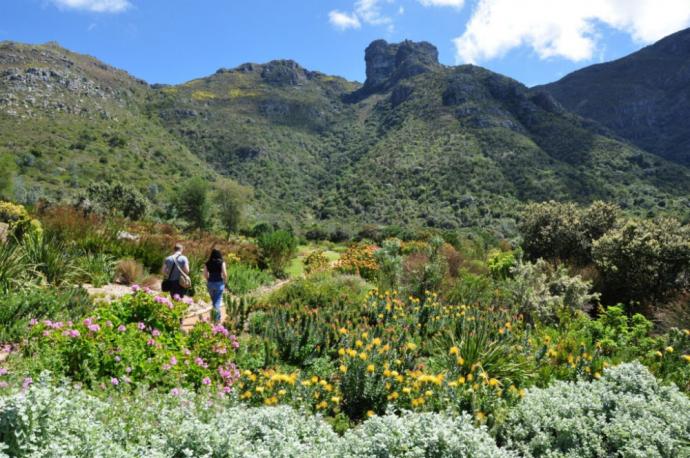 Kirstenbosch National Botanical Garden