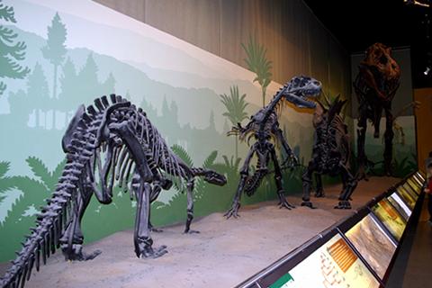 Nights at the museum