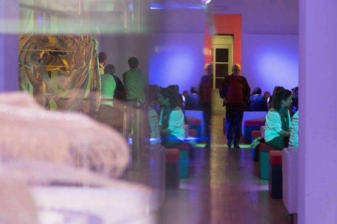 Natuurhistorisch Museum 