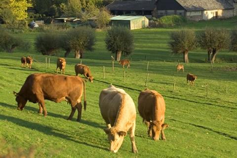Zuid-Limburgse Heuvelland