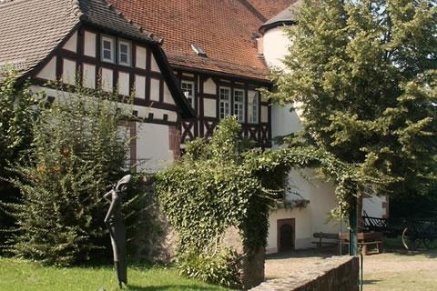 Kinderjaren van de Grimms