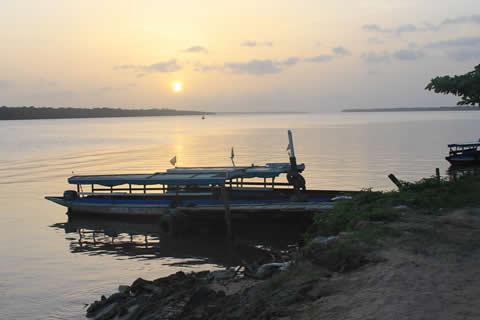 Dolfijnentocht Surinamerivier