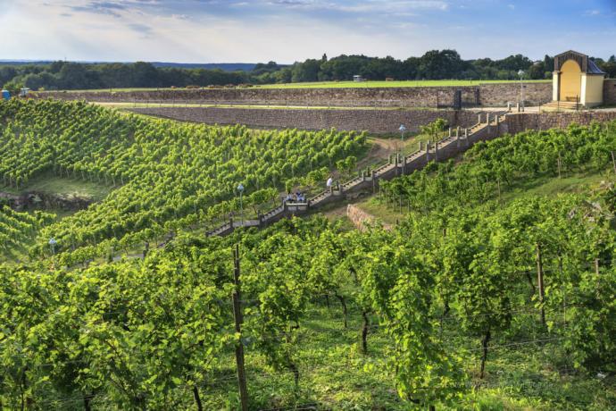 Sächsische Weinstraße