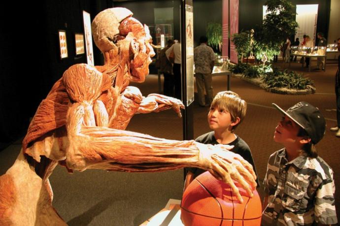 BODY WORLDS