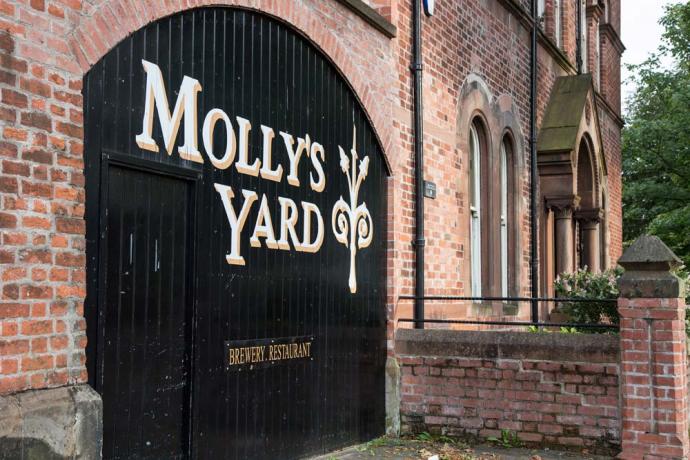 Molly's Yard
