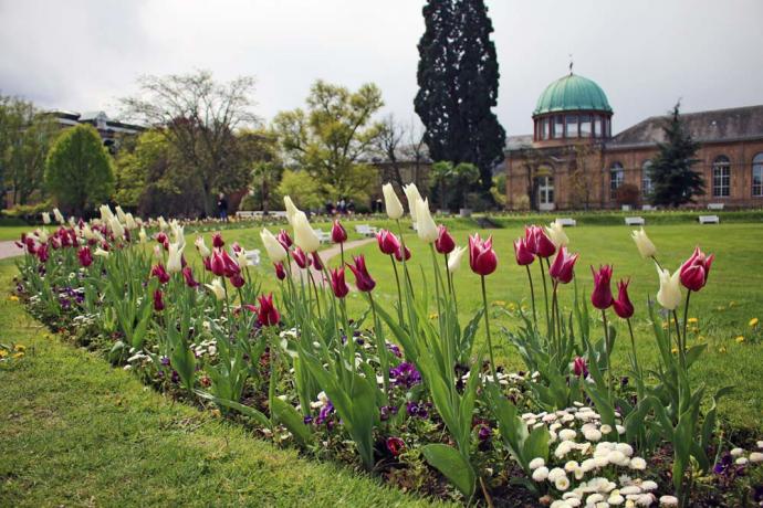 Botanische Tuin Karlsruhe