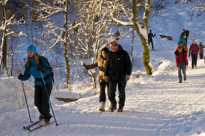 Skiën in de omgeving