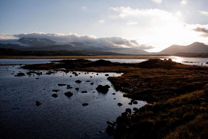 Oslo en Bergen combineer je met een fantastische treinrit