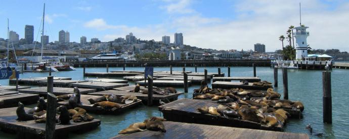 24 uur in... San Francisco