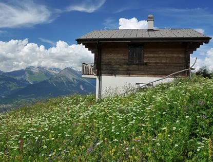 Win een vakantie zonder internet!