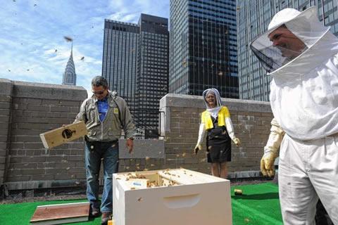 New York krijgt Bijenhotel