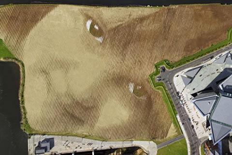 Hoopvolle glimlach voor Belfast