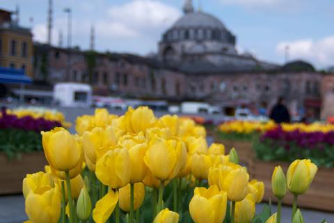 De vijf leukste lentebestemmingen