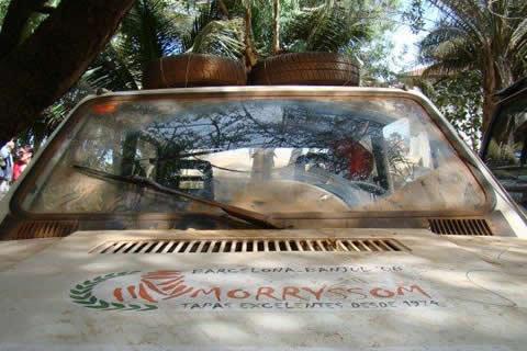 De beste tapasbars van Barcelona