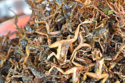 6x Extreem gewaagde local dishes