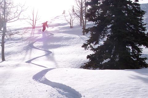 De drie beste wintersportsteden