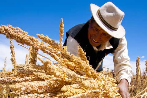 Lima is je nieuwe culinaire reisbestemming