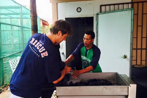 Wine-lovers guide to: Zuid-Afrika