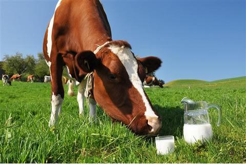 Melkweg, Kalverstraat, MelkSalon?