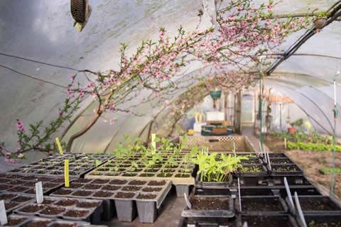 5x restaurants waar je eet uit eigen tuin