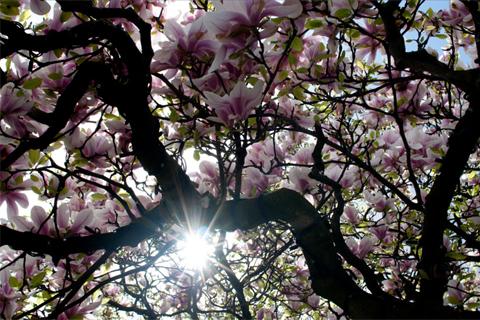 5x leuke uitjes tijdens het Pinksterweekend