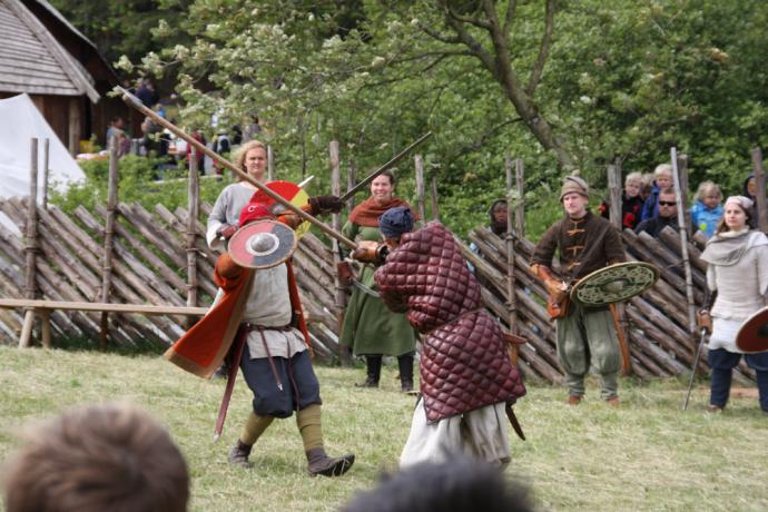 Het Viking Festival