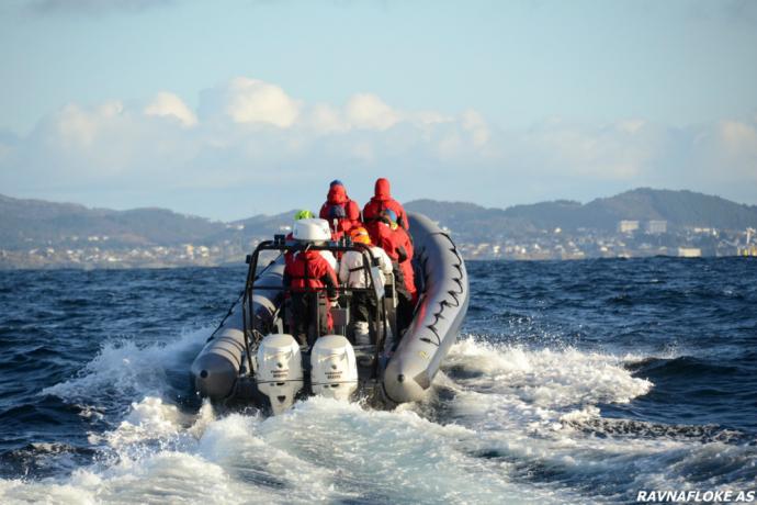 RIB-boot in Haugesund