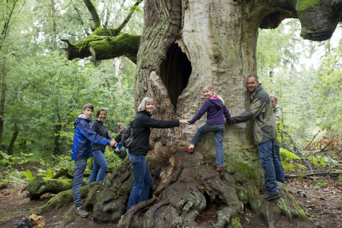 Natuurpark Reinhardswald