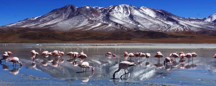 Vakantie Dilemma’s: Manon