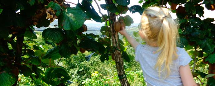 Vakantie Dilemma’s: Tessa