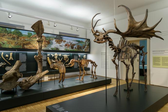 Naturkundemuseum