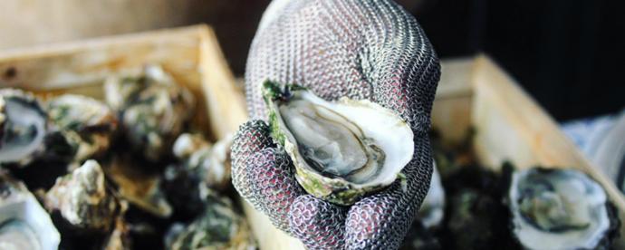 Oesters slurpen: 10x de leukste plekken in Nederland